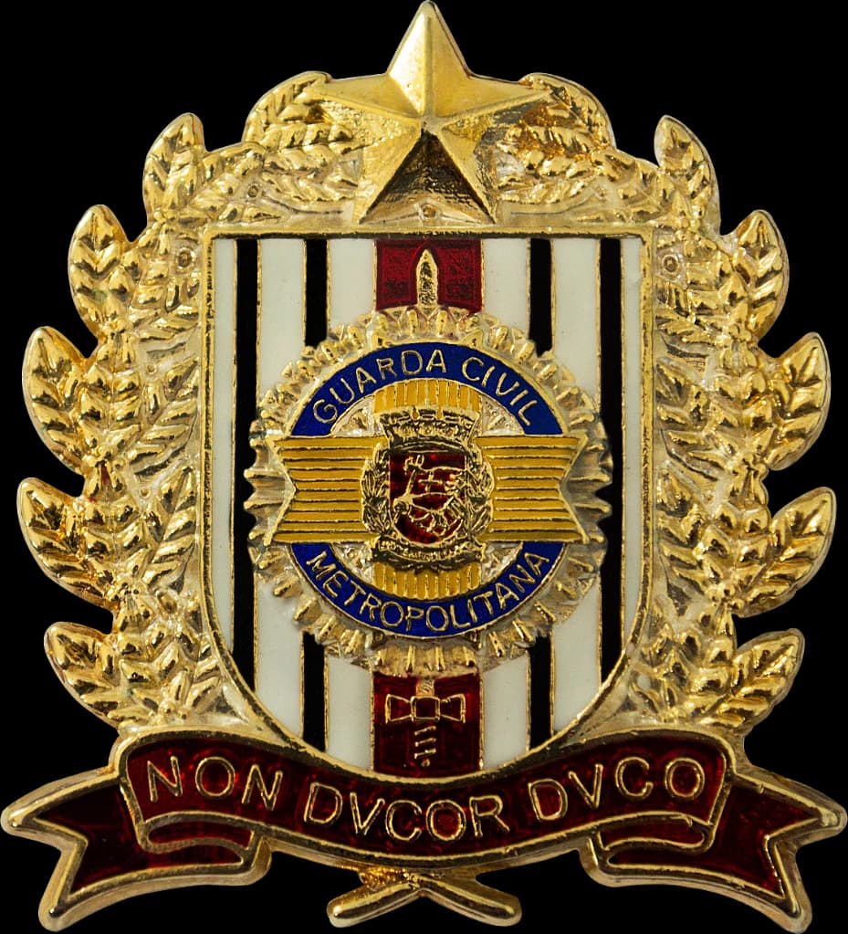DISTINTIVO DE BOINA - OFICIAL GCM SP — imagem 1
