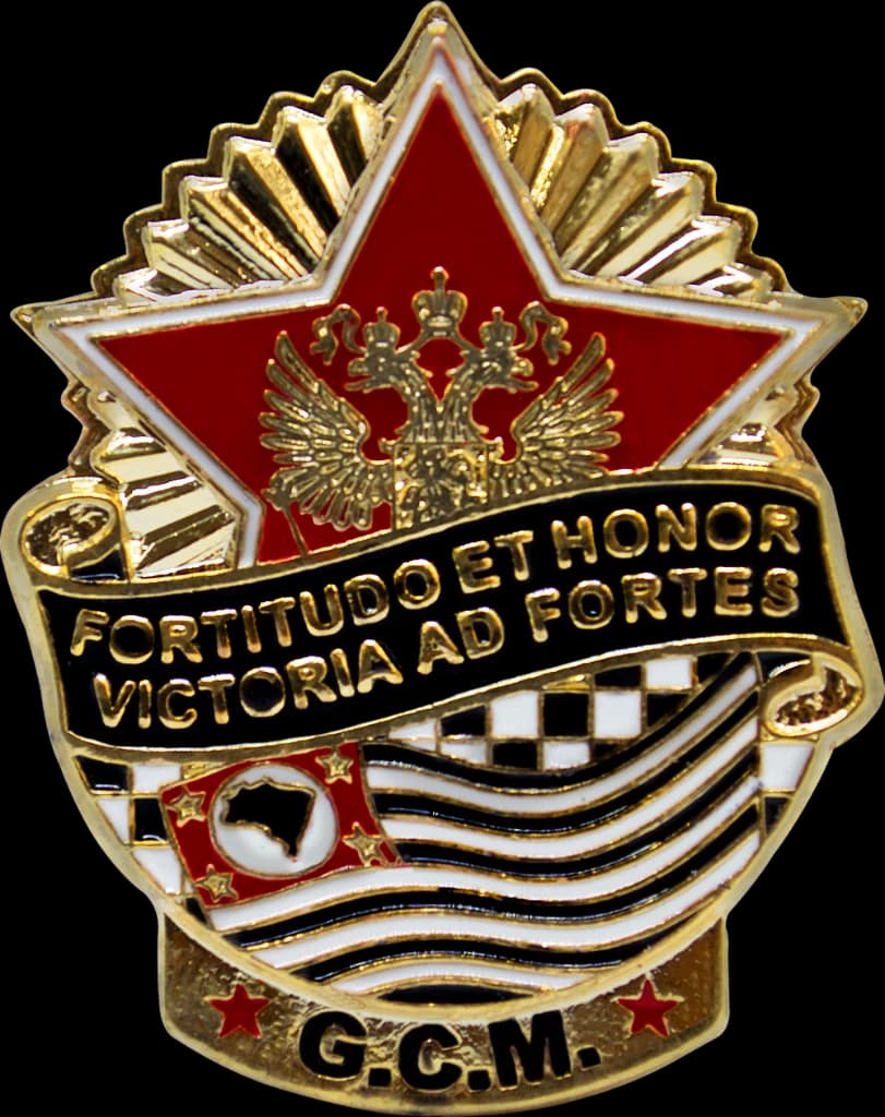 DISTINTIVO DE BOINA - GCM MÉRITO SP — imagem 1