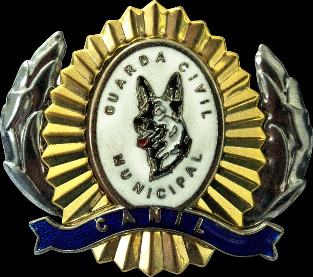 DISTINTIVO DE BOINA - GCM CANIL — imagem 1