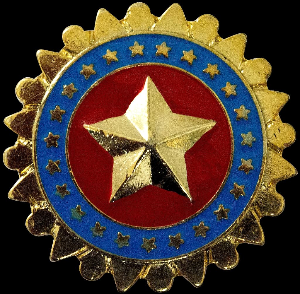 DISTINTIVO DE BOINA - POLÍCIA MILTAR DF — imagem 1