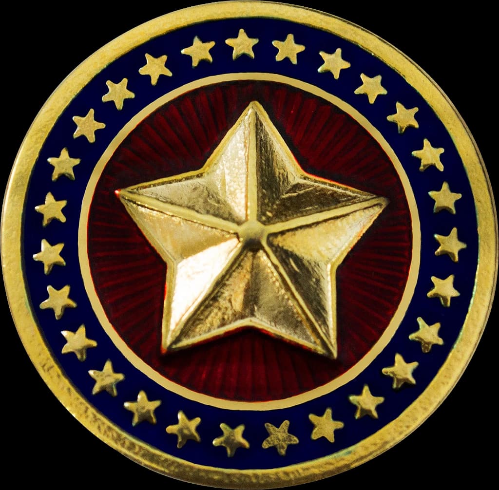 DISTINTIVO DE BOINA - POLÍCIA MILITAR MT — imagem 1