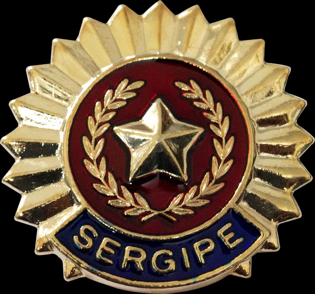 DISTINTIVO DE BOINA - POLÍCIA MILITAR SE — imagem 1