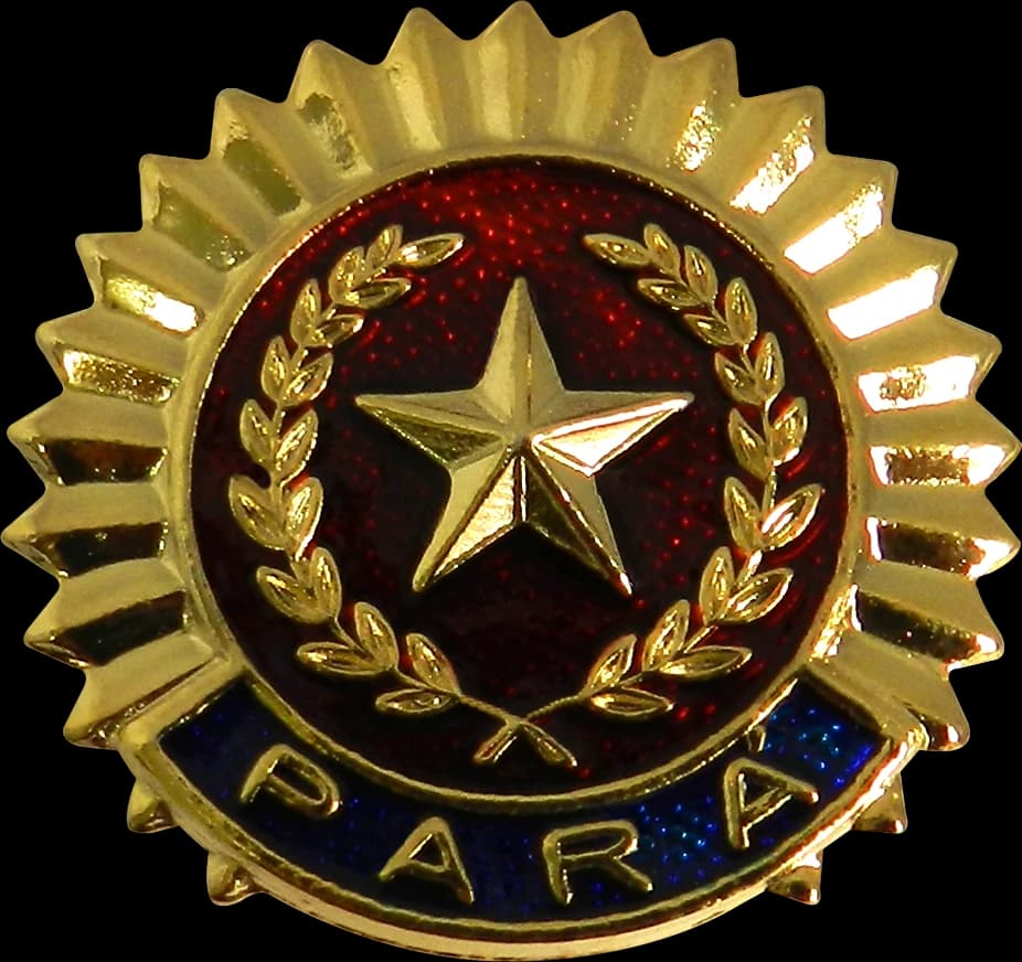 DISTINTIVO DE BOINA - POLÍCIA MILITAR PA — imagem 1