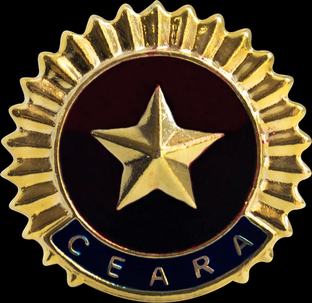 DISTINTIVO DE BOINA - SD / CB POLÍCIA MILITAR CE — imagem 1