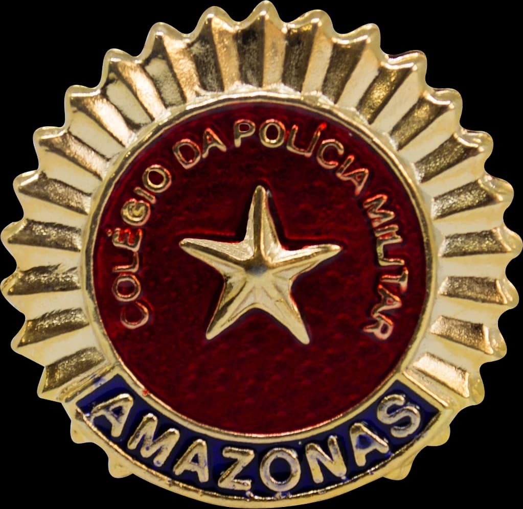 DISTINTIVO DE BOINA - COLÉGIO PM AM — imagem 1