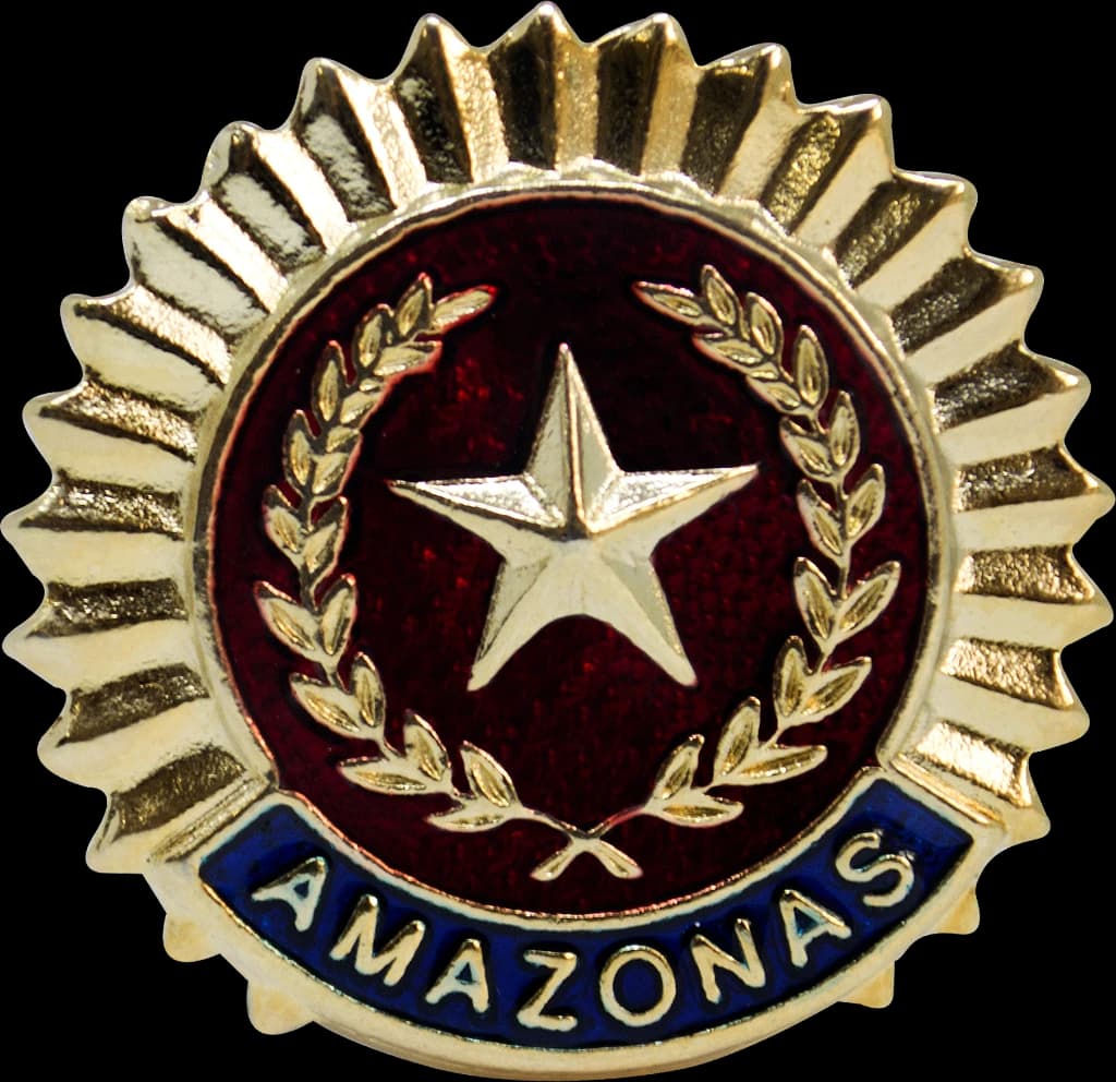 DISTINTIVO DE BOINA - SD POLÍCIA MILITAR AM — imagem 1