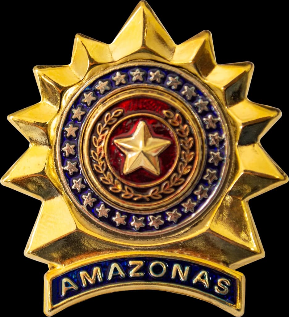 DISTINTIVO DE BOINA - SGT POLÍCIA MILITAR AM — imagem 1