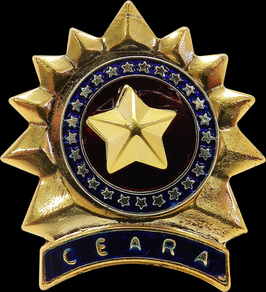 DISTINTIVO DE BOINA - SGT / S TEN. POLÍCIA MILITAR CE — imagem 1