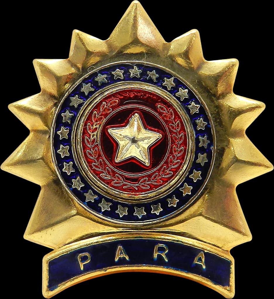 DISTINTIVO DE BOINA - SGT POLÍCIA MILITAR PA — imagem 1