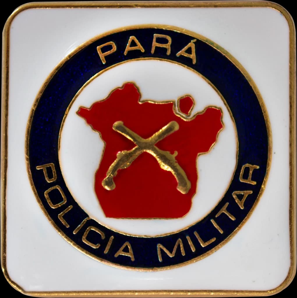 DISTINTIVO DE BOINA - MÉRITO PESSOAL POLÍCIA MILITAR PA — imagem 1
