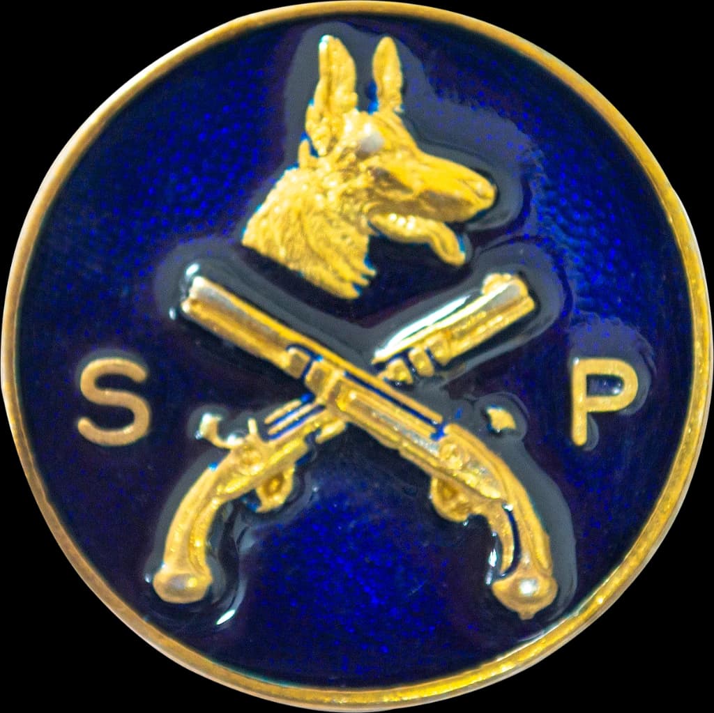 DISTINTIVO DE BOINA - CANIL POLÍCIA MILITAR ESP — imagem 1