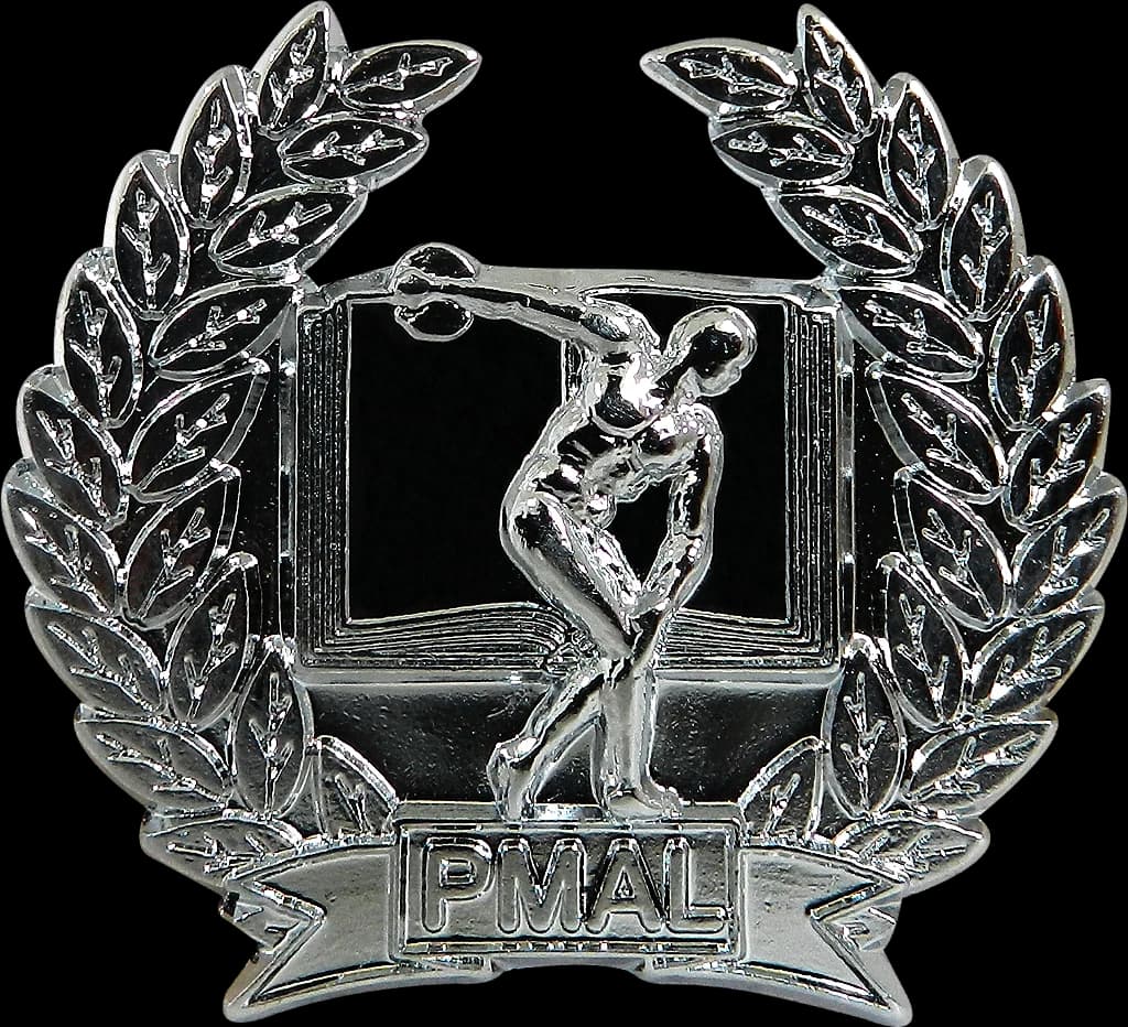 DISTINTIVO DE BOINA - EDUCAÇÃO FÍSICA PM AL — imagem 1
