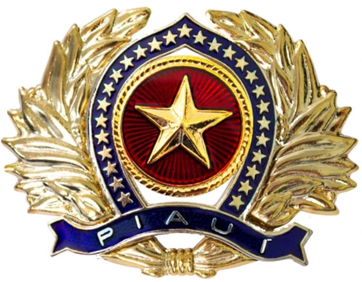 DISTINTIVO DE BOINA - OFICIAL POLÍCIA MILITAR PIAUÍ — imagem 1