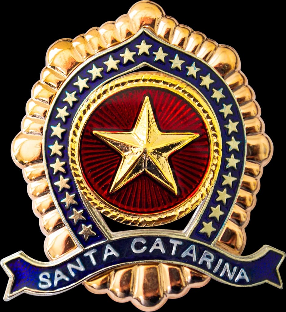 DISTINTIVO DE BOINA - SGT / S TEN. POLÍCIA MILITAR SC — imagem 1