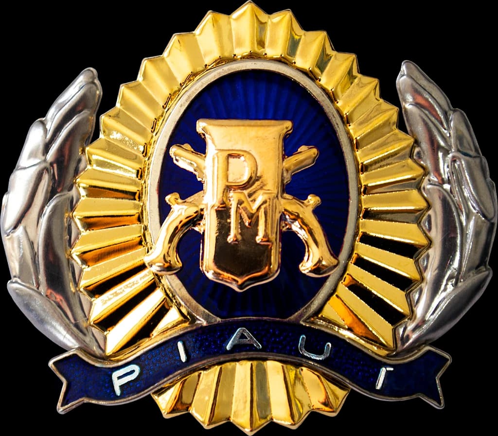 DISTINTIVO DE BOINA - SD / CB POLÍCIA MILITAR PI — imagem 1