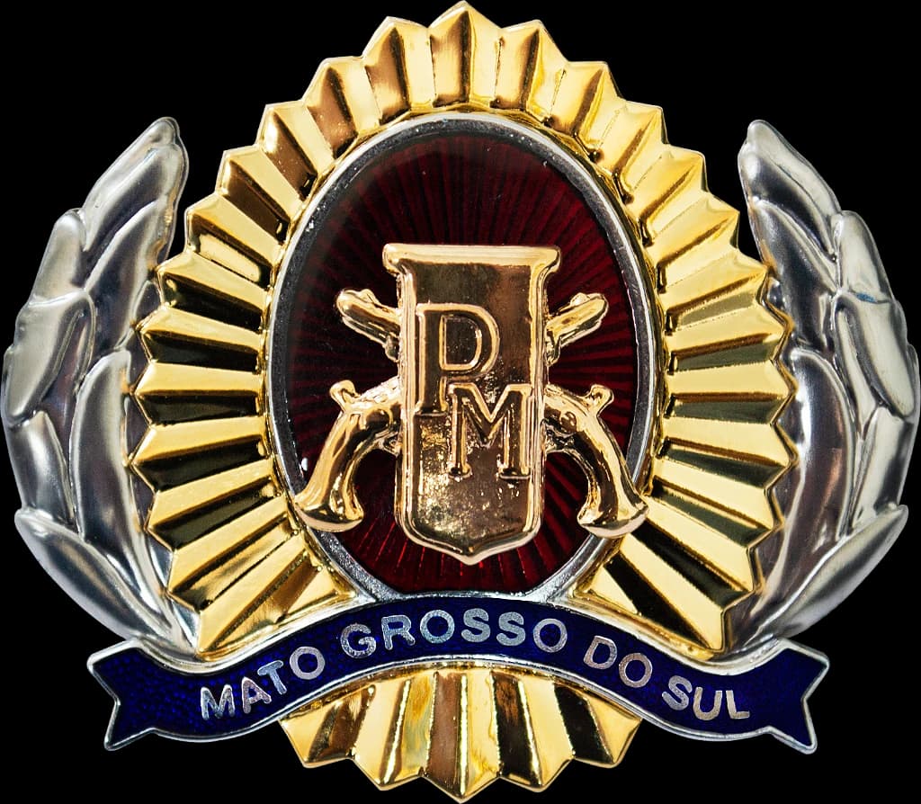 DISTINTIVO DE BOINA - SGT / S TEN. POLÍCIA MILITAR MS — imagem 1