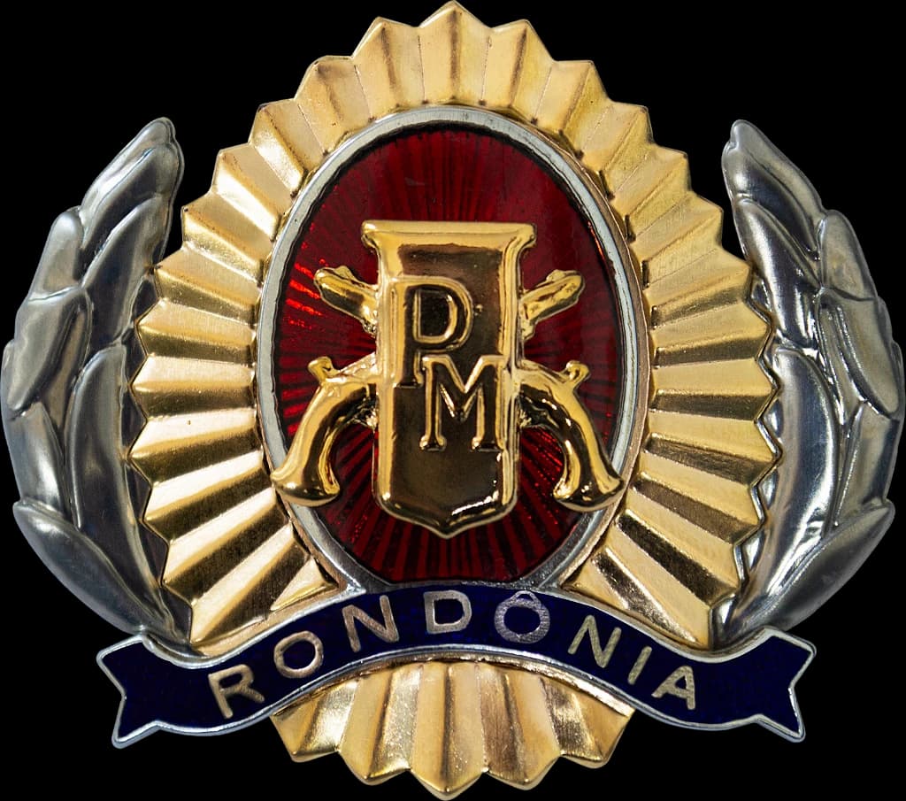 DISTINTIVO DE BOINA - SGT / S TEN. POLÍCIA MILITAR RO — imagem 1