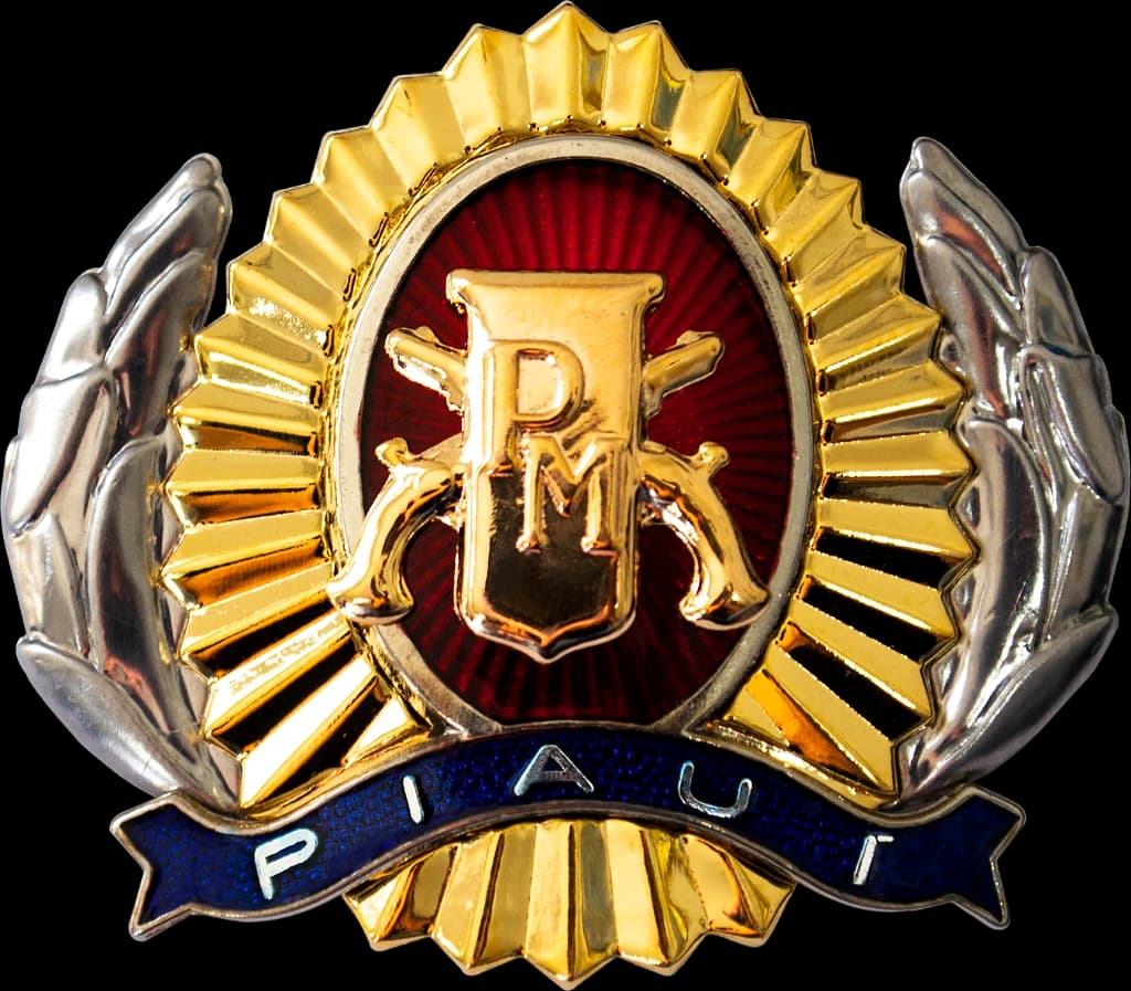 DISTINTIVO DE BOINA - SGT / S TEM. POLÍCIA MILITAR PI — imagem 1