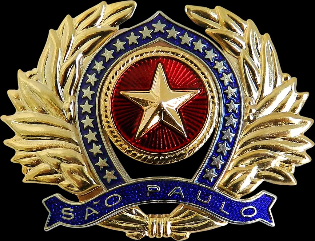 DISTINTIVO DE BOINA - OFICIAL POLÍCIA MILITAR ESP — imagem 1