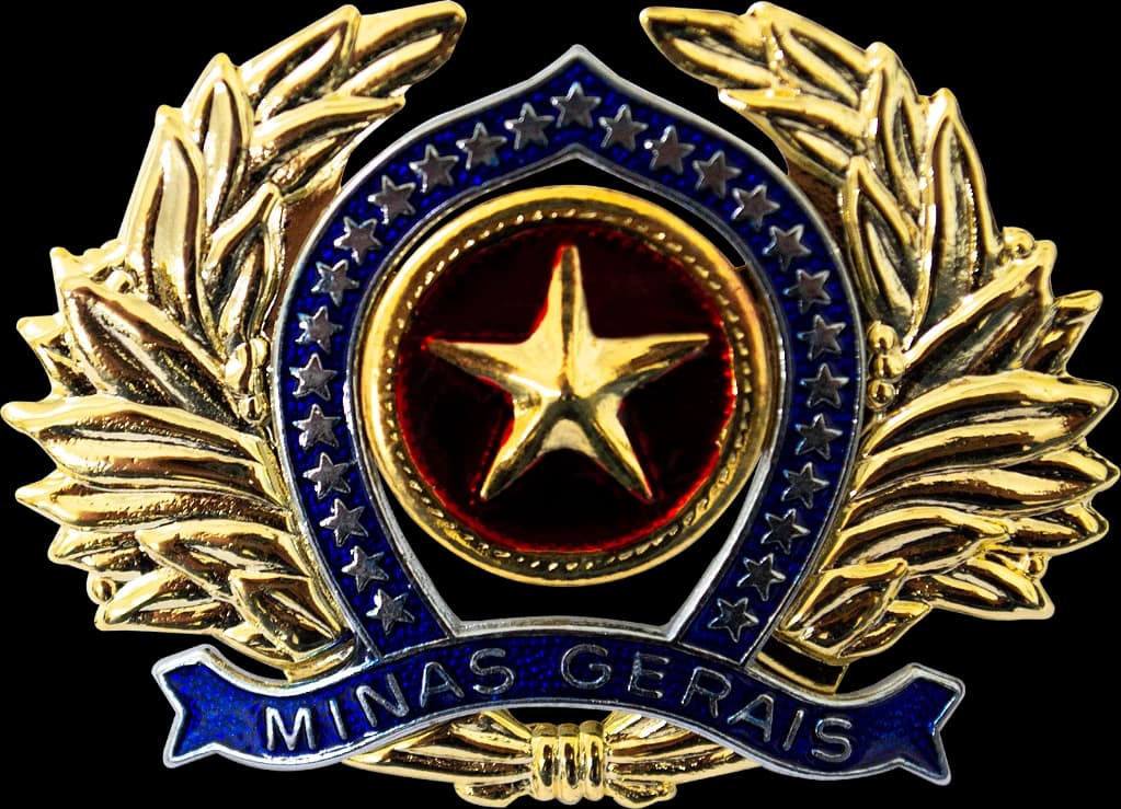 DISTINTIVO DE BOINA - OFICIAL POLÍCIA MILITAR MG — imagem 1