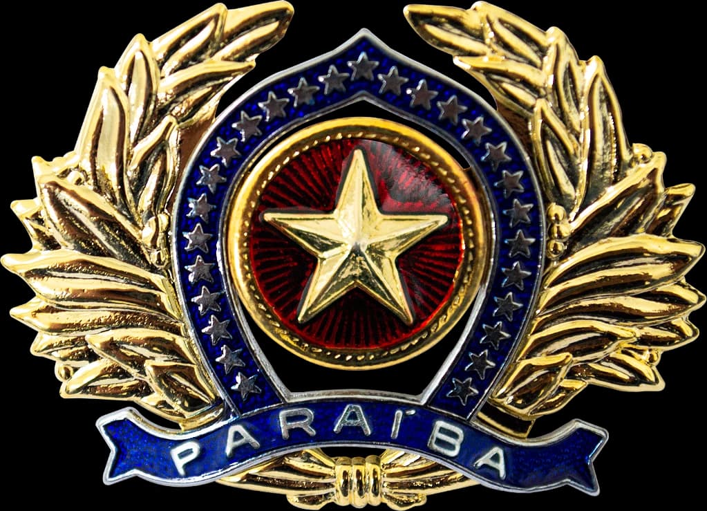 DISTINTIVO DE BOINA - OFICIAL POLÍCIA MILITAR PB — imagem 1