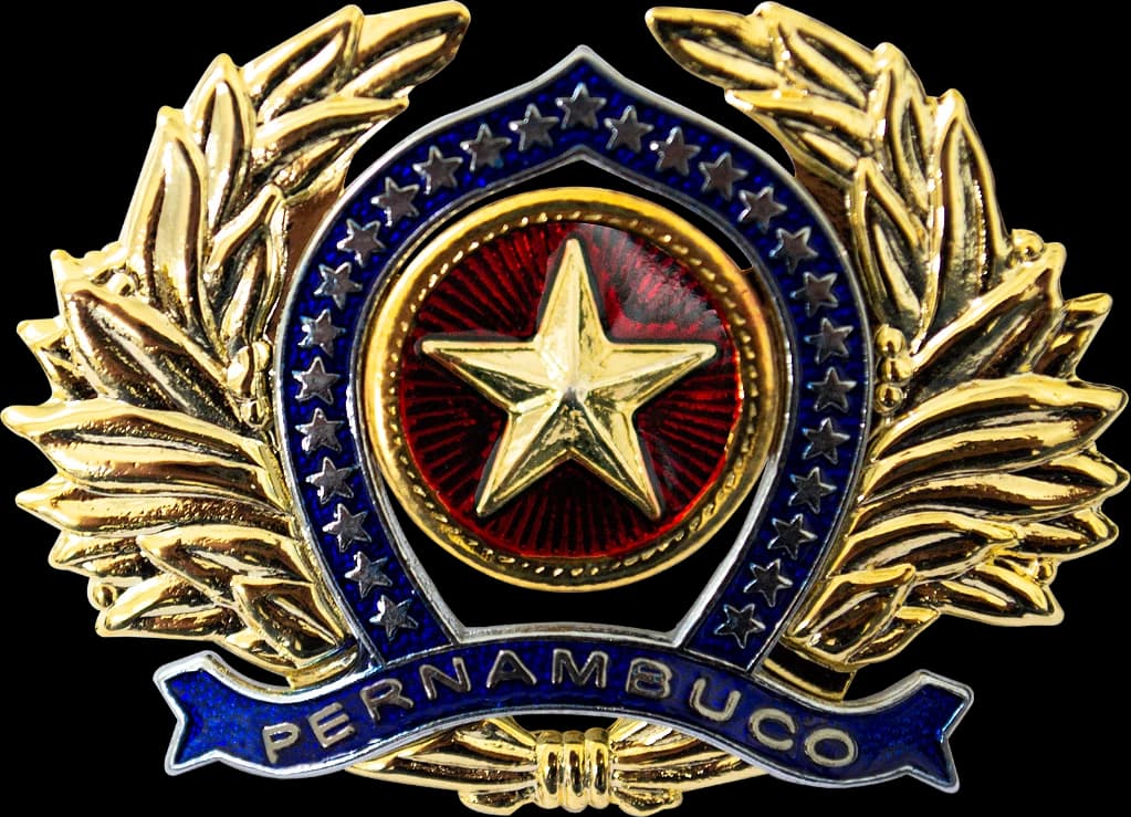 DISTINTIVO DE BOINA - OFICIAL POLÍCIA MILITAR PE — imagem 1