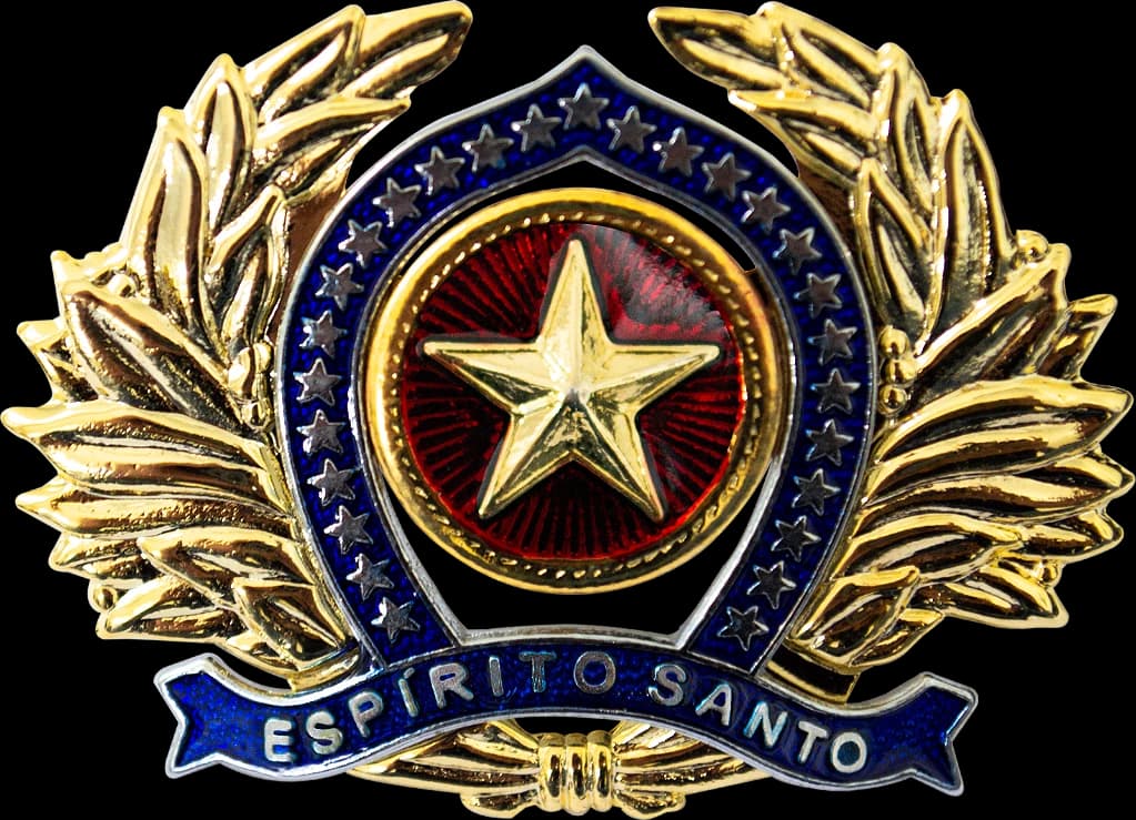 DISTINTIVO DE BOINA - OFICIAL POLÍCIA ES — imagem 1