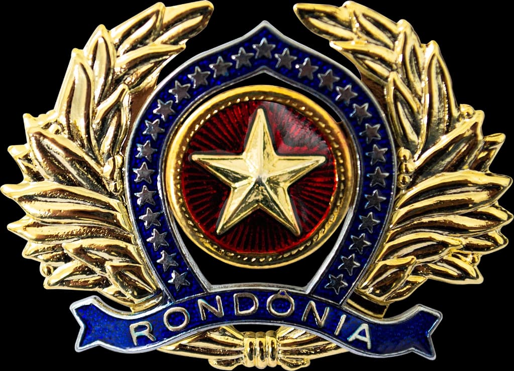 DISTINTIVO DE BOINA - OFICIAL POLÍCIA MILITAR RO — imagem 1