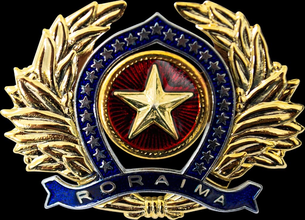 DISTINTIVO DE BOINA - OFICIAL POLÍCIA MILITAR RR — imagem 1