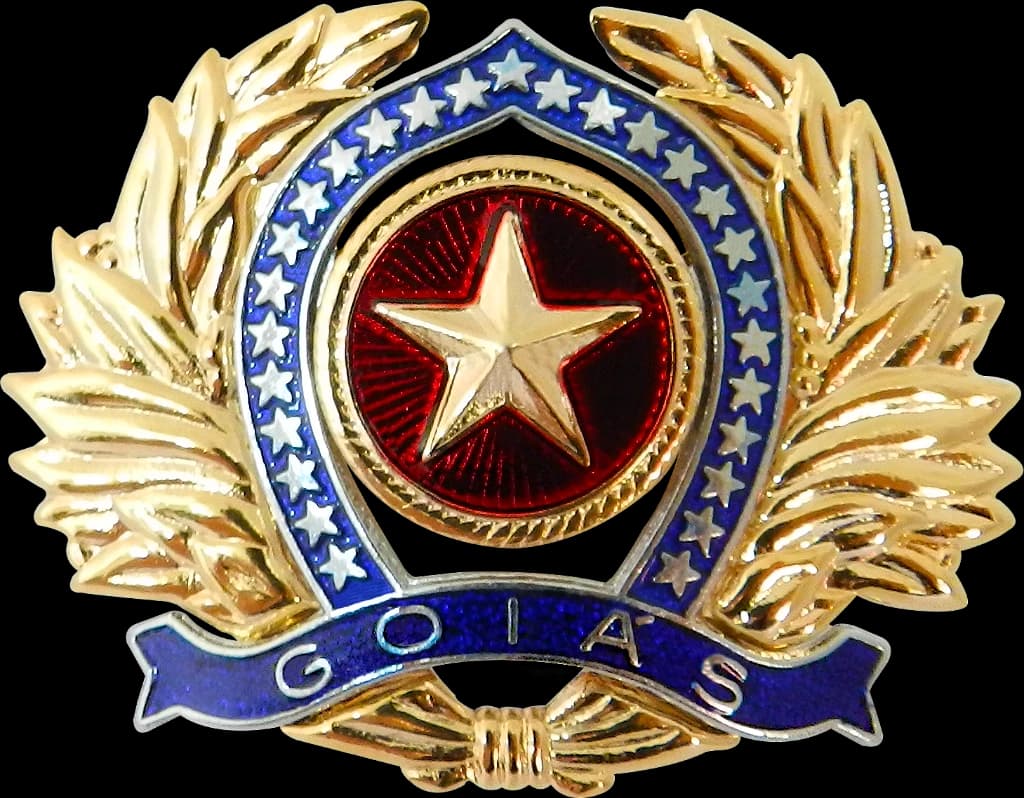 DISTINTIVO DE BOINA - OFICIAL POLÍCIA MILITAR GO — imagem 1