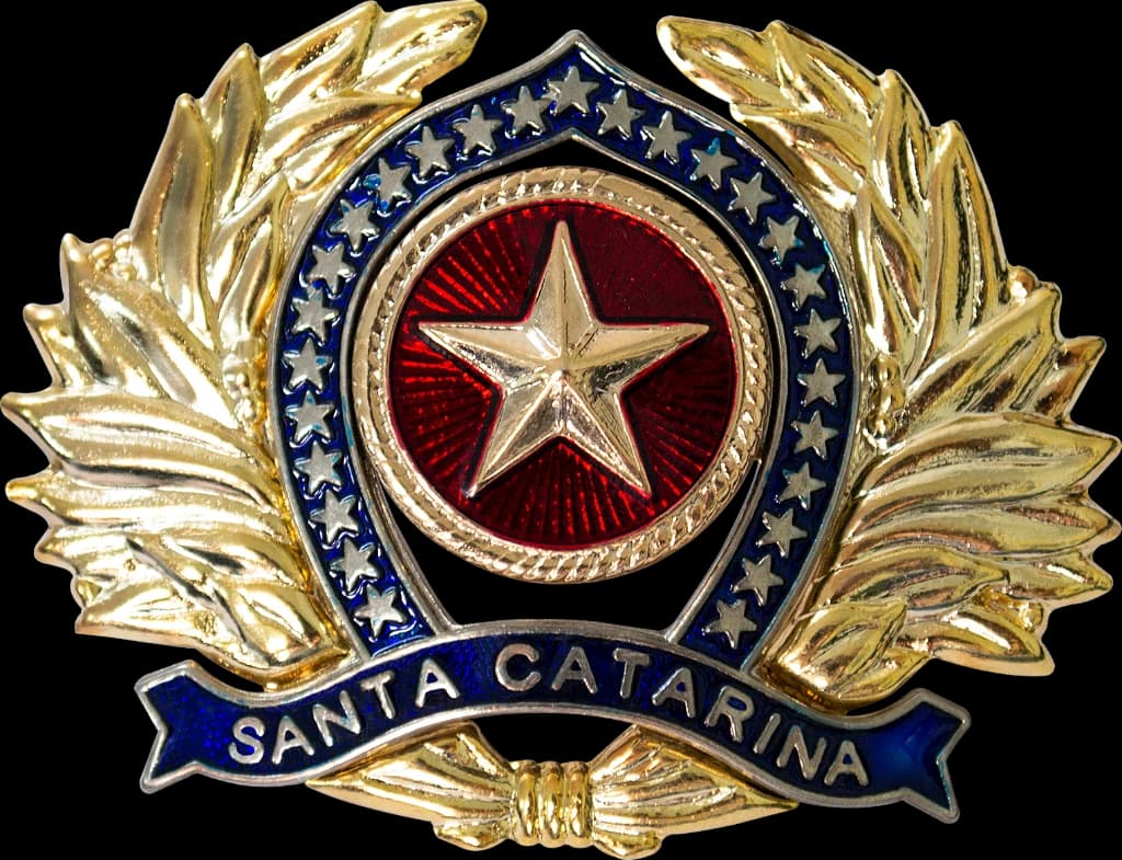 DISTINTIVO DE BOINA - OFICIAL POLÍCIA MILITAR SC — imagem 1