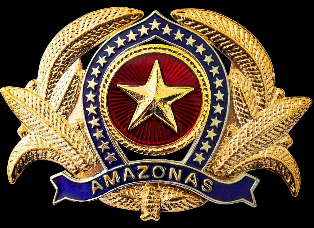 DISTINTIVO DE BOINA - OFICIAL POLÍCIA MILITAR AM — imagem 1