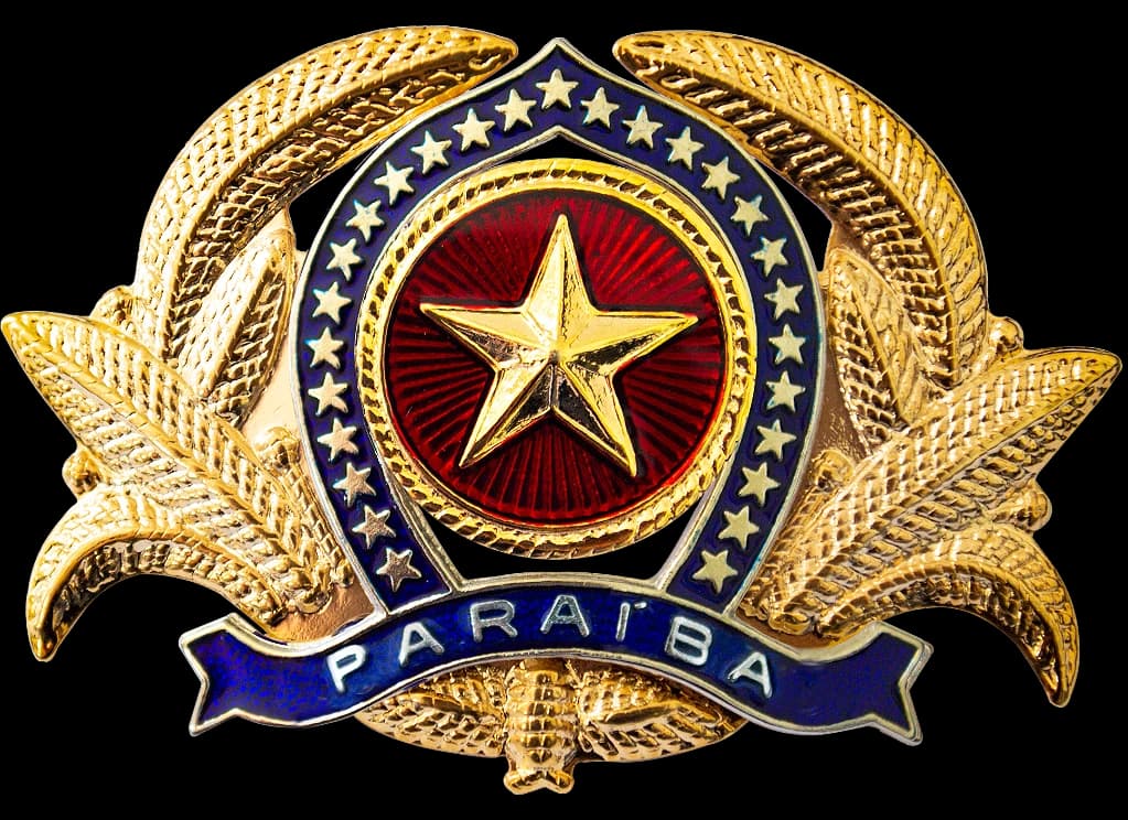 DISTINTIVO DE BOINA - OFICIAL POLÍCIA MILITAR PB — imagem 1
