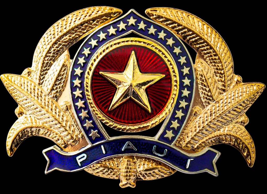 DISTINTIVO DE BOINA - OFICIAL POLÍCIA MILITAR PI — imagem 1