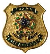 DISTINTIVO DE BOINA - FISC. IBAMA — imagem 1