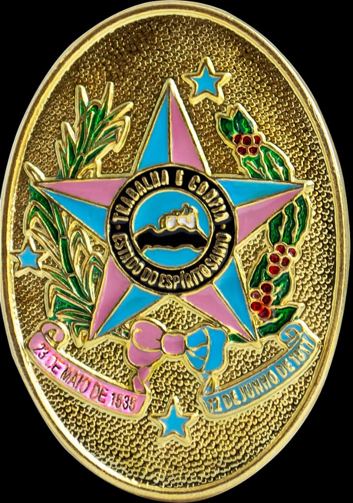 DISTINTIVO DE BOINA - ES — imagem 1