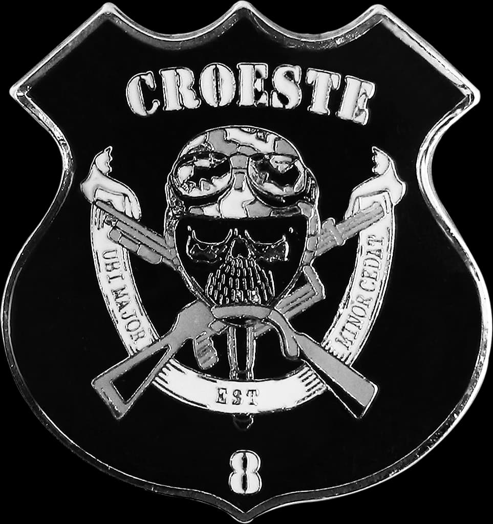 DISTINTIVO DE BOINA - CROESTE — imagem 1