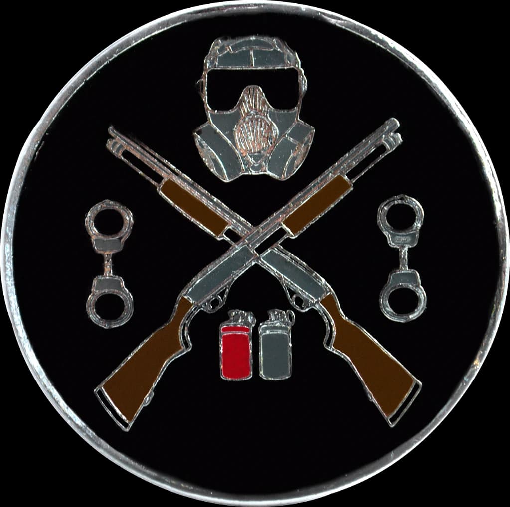DISTINTIVO DE BOINA - OPERAÇÕES ESPECIAIS — imagem 1