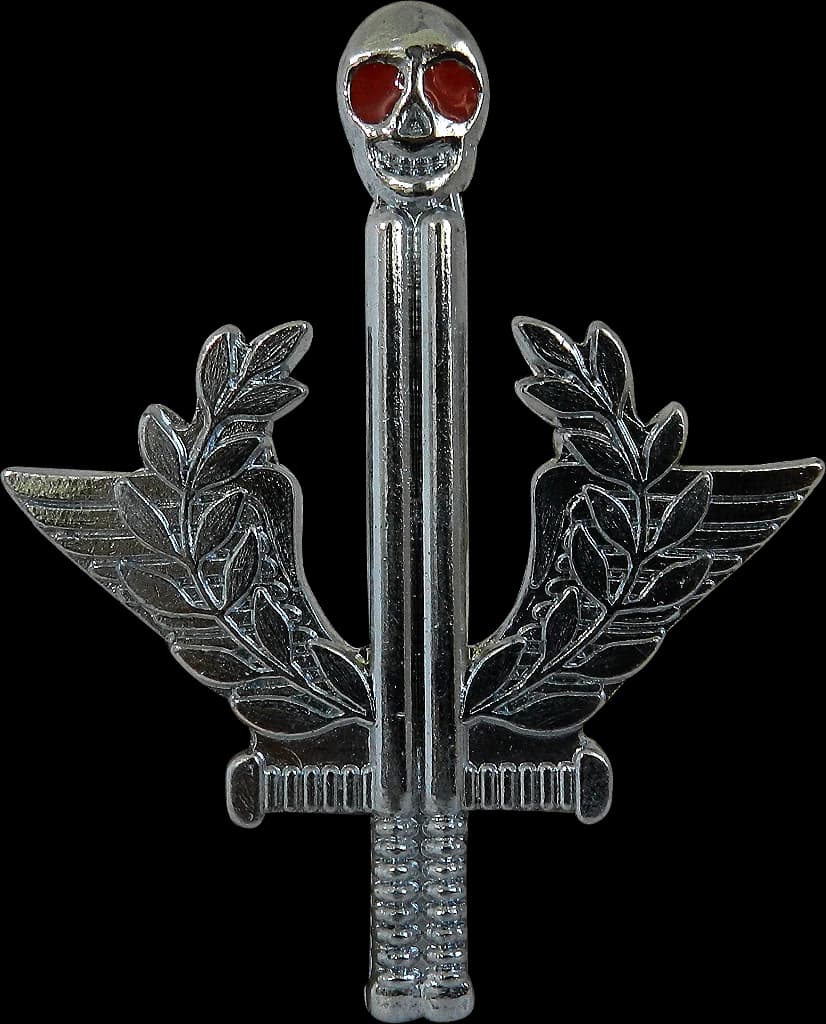 DISTINTIVO DE BOINA - ESPADA CAVEIRA — imagem 1