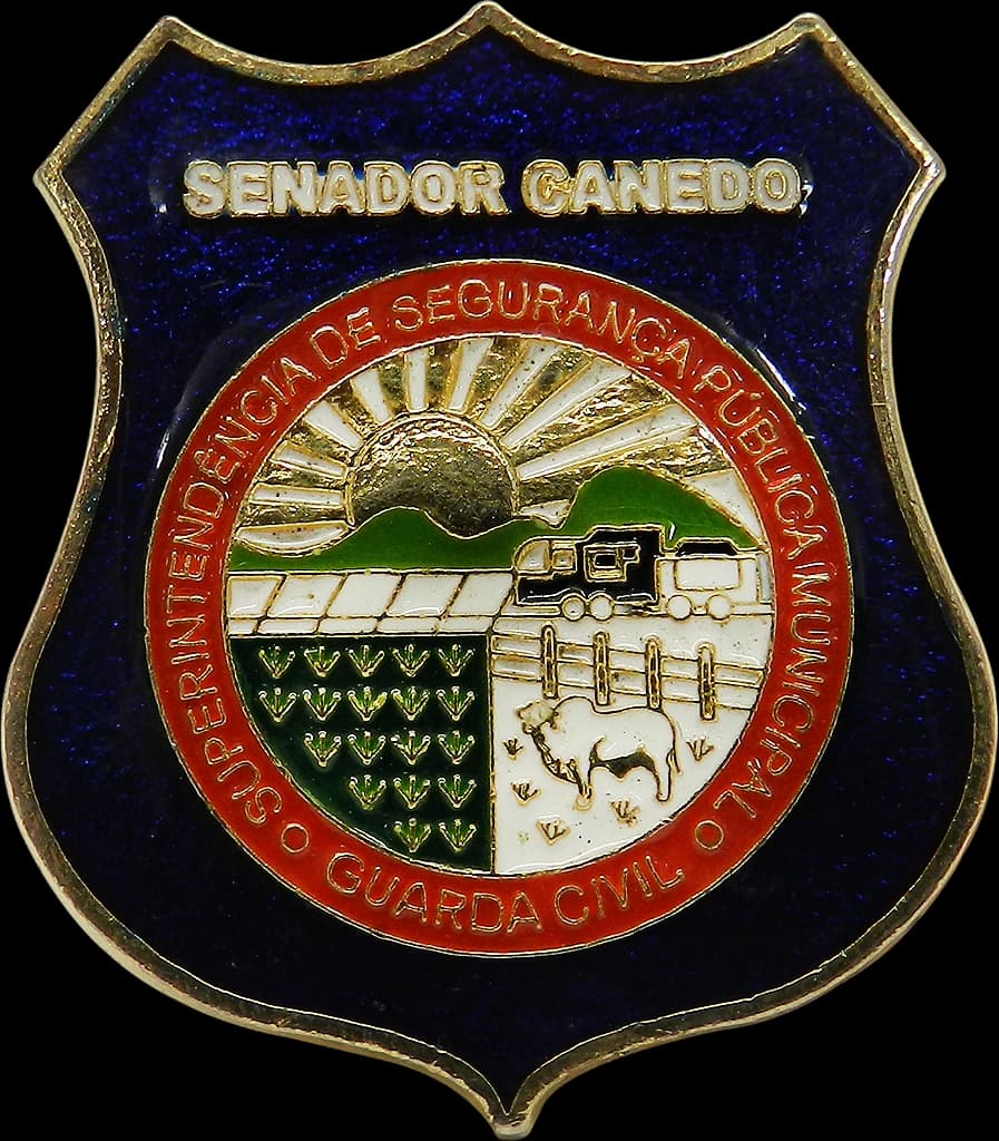 DISTINTIVO DE BOINA - SEGURANÇA PÚBLICA — imagem 1