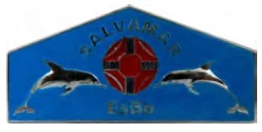 DISTINTIVO DE QUEPE - SALVAMAR / BOMBEIROS RS — imagem 1