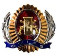 DISTINTIVO DE QUEPE - SUBSARGENTO / PM GO — imagem 1