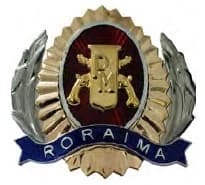 DISTINTIVO DE QUEPE - SUBSARGENTO / PM RR — imagem 1