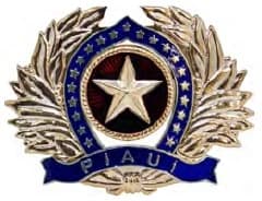 DISTINTIVO DE QUEPE - OFICIAL / PM PI — imagem 1