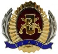DISTINTIVO DE QUEPE - SUBSARGENTO / PM PI — imagem 1