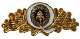 DISTINTIVO DE QUEPE - QUALIDADE TOTAL PM PA — imagem 1