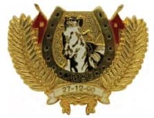 DISTINTIVO DE QUEPE - CAVALARIA PM SE — imagem 1