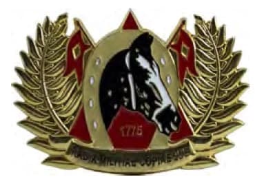 DISTINTIVO DE QUEPE - RADIX MILITAR COPIAEQUE — imagem 1
