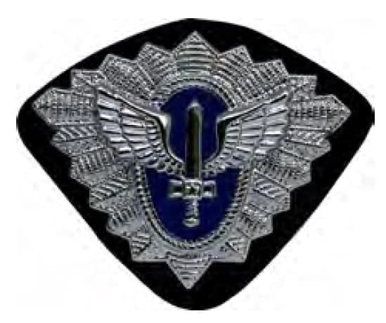 DISTINTIVO DE QUEPE - SUBOFICIAL — imagem 1