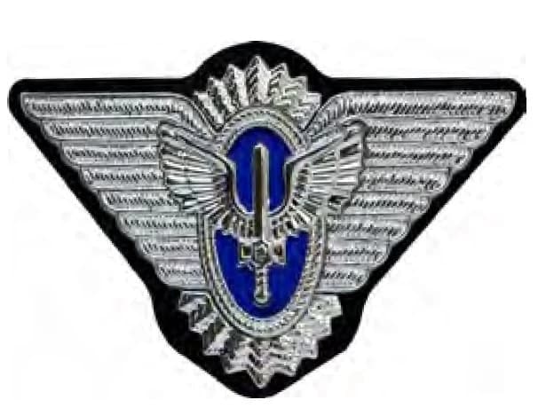 DISTINTIVO DE QUEPE - OFICIAL — imagem 1
